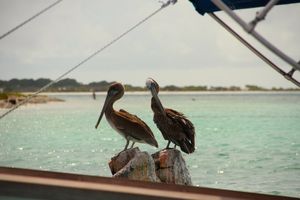 Venezuela-Jkeltai-09